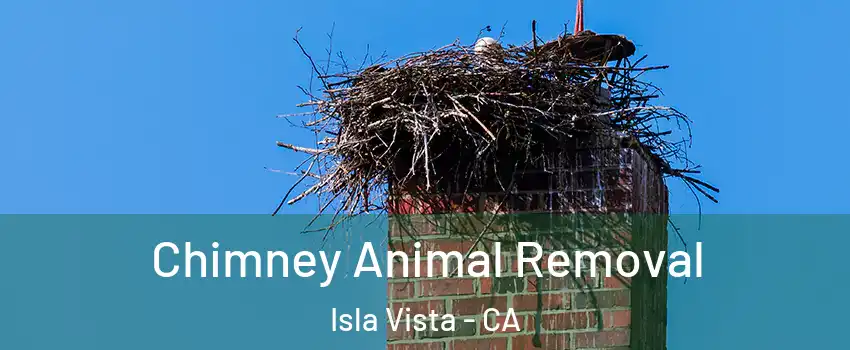 Chimney Animal Removal Isla Vista - CA