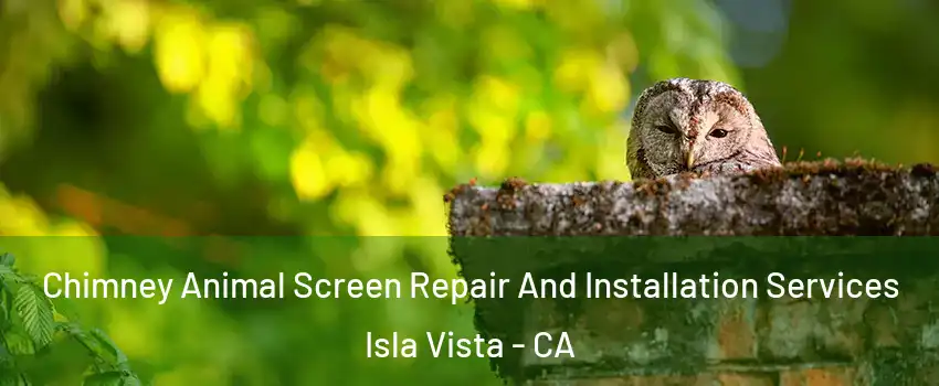  Chimney Animal Screen Repair And Installation Services Isla Vista - CA