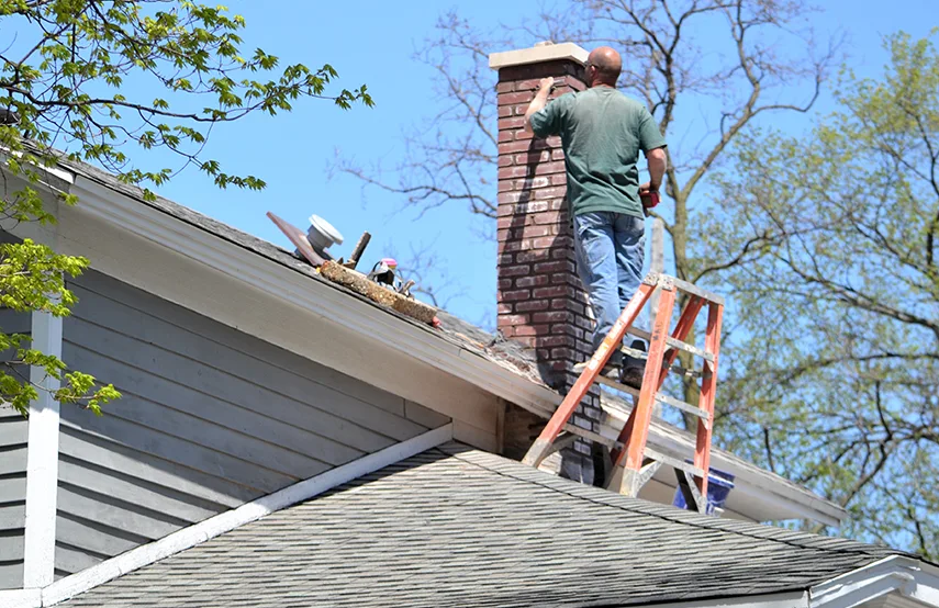 Chimney & Fireplace Inspections Services in Isla Vista, CA