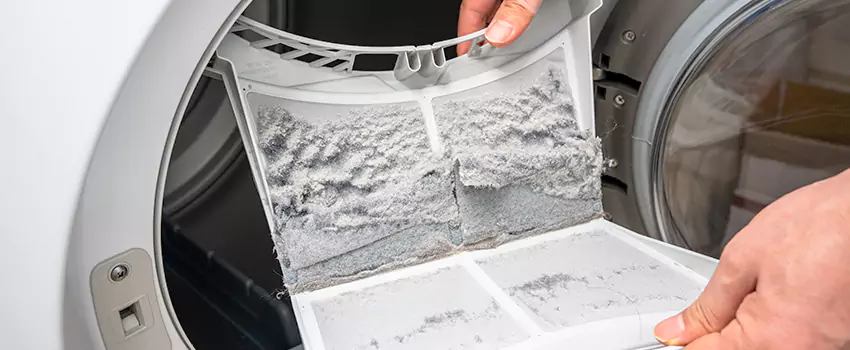 Best Dryer Lint Removal Company in Isla Vista, California