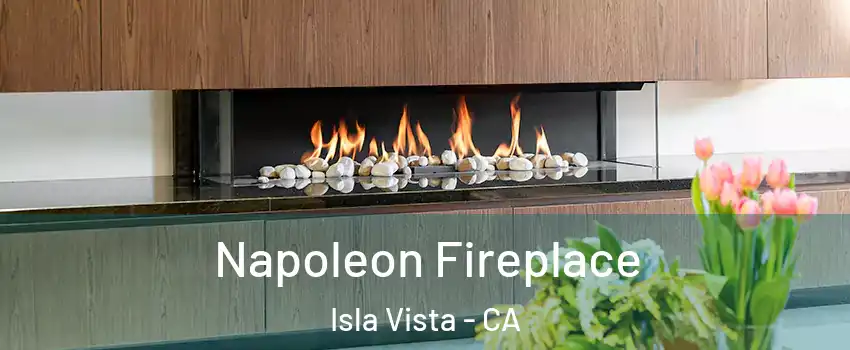  Napoleon Fireplace Isla Vista - CA